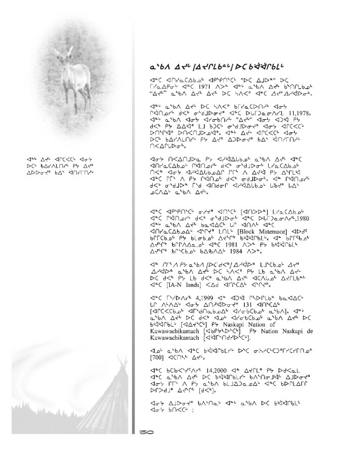 10675 CNC Annual Report 2000 NASKAPI - page 50